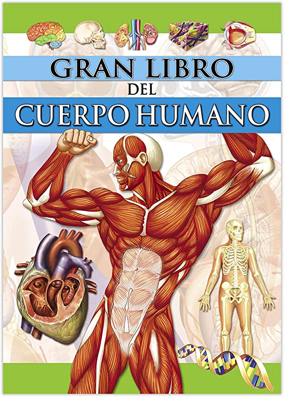 GRAN LIBRO CTD080 CUERPO HUMANO