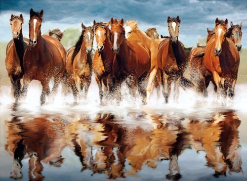 PUZZLE 31972 1500 CABALLOS AGUA